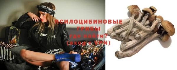 тгк Медвежьегорск