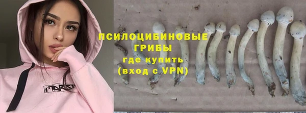 бутират Мегион