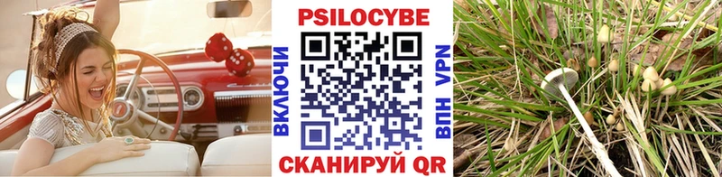 Купить где  Орёл  Псилоцибиновые грибы мицелий 